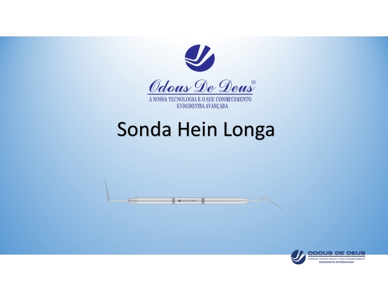 sonda-hein-longa